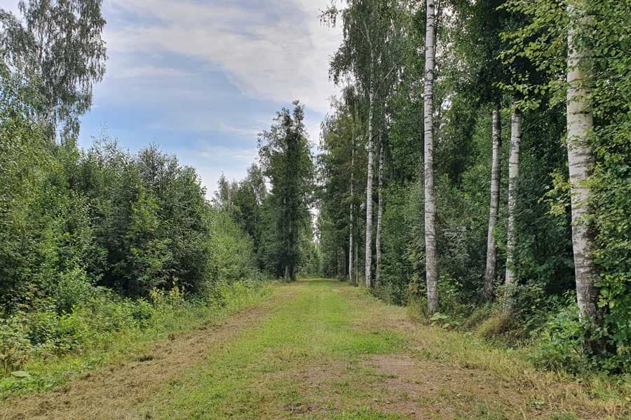 Matkarajad on ka hooldatud